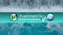 bonafide helpful vibes wix